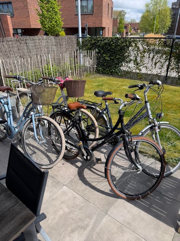 Diverse damesfietsen te koop, Ophalen, Gebruikt, Batavus