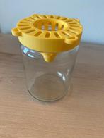 Piège à frelons asiatiques - adapté aux abeilles - pot Ø80, Abeilles