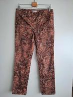 Damesbroek Miss Etam maat 38, Miss etam, Enlèvement ou Envoi, Taille 38/40 (M), Longs