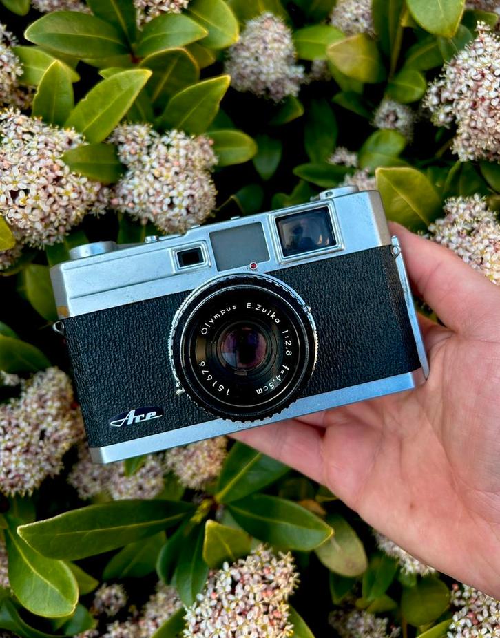 Vintage Tested & Working Olympus Ace Rangefinder, Audio, Tv en Foto, Fotocamera's Analoog, Zo goed als nieuw, Olympus, Ophalen of Verzenden