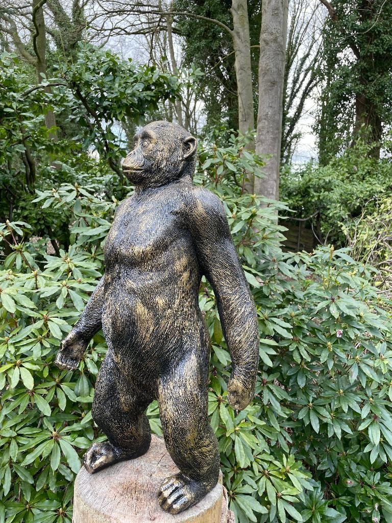 Beeld Stoere aap, tuin, babykamer, dieren 80cm, Tuin en Terras, Ophalen, Nieuw, Kunststof, Dierenbeeld