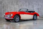 1960 AUSTIN-HEALEY BJ 7 3000, Autos, Achat, Entreprise, Cabriolet, Boîte manuelle