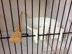 Kunststof nest wit met haken 12cm, Dieren en Toebehoren, Ophalen, Nieuw, Kunststof