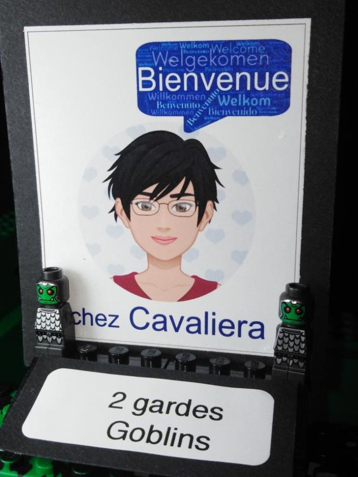 Set van 2 Lego-microfiguren - Heroica Garde Goblin - Lego G, Kinderen en Baby's, Speelgoed | Duplo en Lego, Zo goed als nieuw