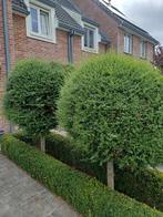 Tuin, Ophalen
