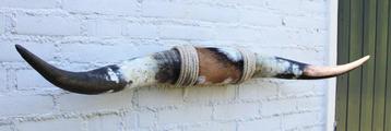 Texas style BULLBAR- 112 cm - afgewerkt met sisaltouw beschikbaar voor biedingen