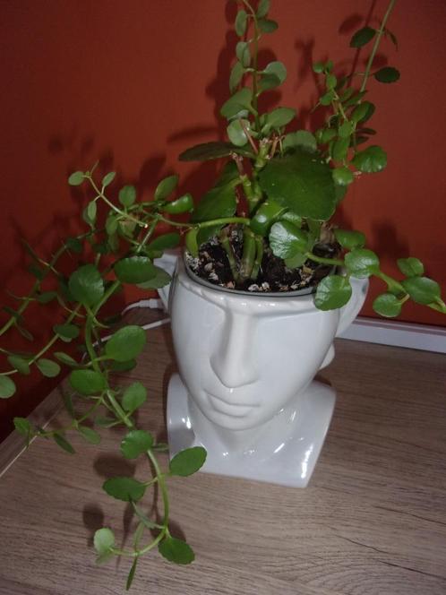 mooie cachepot-kop, Tuin en Terras, Bloempotten, Zo goed als nieuw, Aardewerk, Binnen, Minder dan 40 cm, Minder dan 25 cm, Overige vormen