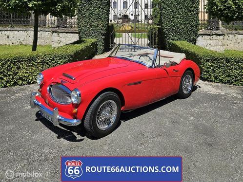 Austin Healey 3000 MK2 BJ7 | 1962 | Route 66 Auctions, Auto's, Oldtimers, Bedrijf, Te koop, Austin, Benzine, Overige carrosserie