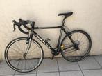 ridley koersfiets, 10 tot 15 versnellingen, Zo goed als nieuw, 53 tot 57 cm, Ophalen