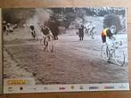Wieleraffiche Ronde Van Vlaanderen Briek Schotte 1944, Ophalen of Verzenden