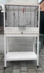 Vogelkooi, Dieren en Toebehoren, Vogels | Kanaries