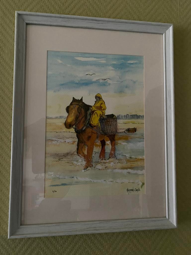 Tekening paardevisser - oostduinkerke, Ophalen