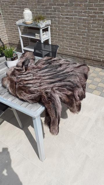 Prachtige zilvervos maat 40 zoekt een mooie dame., Kleding | Dames, Jassen | Winter, Ophalen of Verzenden, Zo goed als nieuw, Maat 38/40 (M)