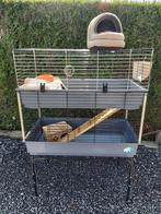Dubbele kooi voor cavia, Dieren en Toebehoren, Ophalen, Gebruikt, Kooi