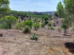 ALGARVE Azinhal, Castro Marim Domein 6,1 ha, Castro Marim, Terrain ou Parcelle, Portugal, Campagne