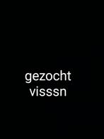 Gezocht vissen, Dieren en Toebehoren