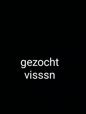 Gezocht vissen  beschikbaar voor biedingen