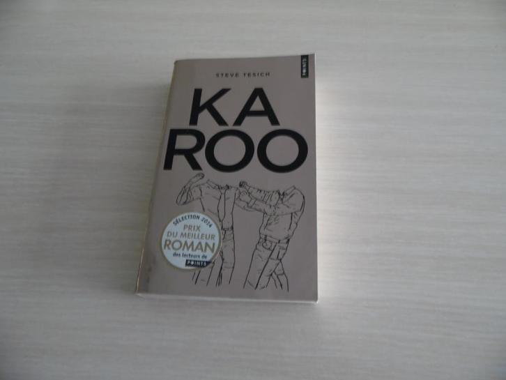 KAROO       STEVE TESICH, Boeken, Romans, Zo goed als nieuw, Amerika, Ophalen of Verzenden