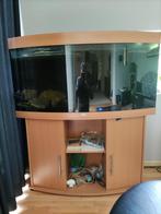 Juwel aquarium met meubel 180 liter, Ophalen