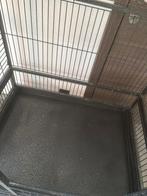 Groot en klein vogelkooi te koop, Dieren en Toebehoren, Ophalen, Gebruikt