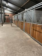Pension stalling te maldegem, Dieren en Toebehoren, Stalling