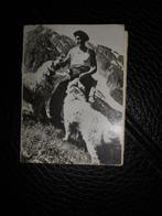 Les Pyrénées carnet de14 photos ( Yan), Collections, Cartes postales | Étranger, Enlèvement ou Envoi