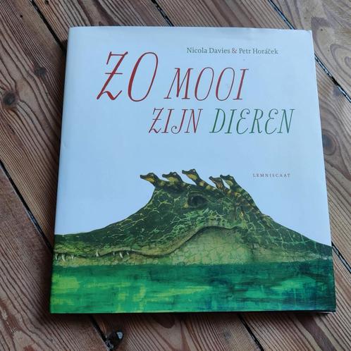 Nicola Davies - Zo mooi zijn dieren, Boeken, Prentenboeken en Plaatjesalbums, Zo goed als nieuw, Ophalen of Verzenden