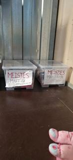 Heel veel kinder kleding meisjes en jongens, Kinderen en Baby's, Ophalen of Verzenden