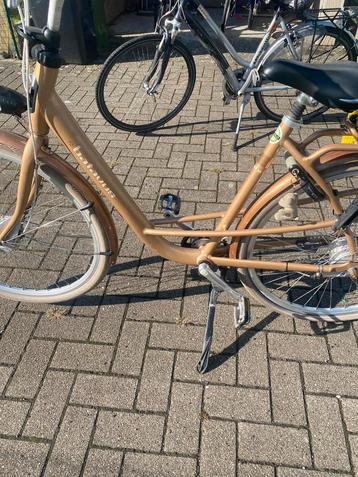 Batavus mama fiets met 2 kinderzitjes