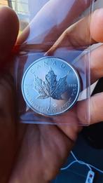 Maple Leaf 1toz. silver 999, Postzegels en Munten, Ophalen, Zilver