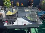 Cavia of konijnenkooi, Ophalen, Kooi, 60 tot 90 cm, 75 tot 110 cm