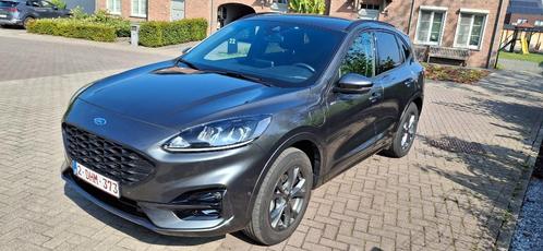 Ford Kuga ST-line PHEV'23 met automatische koffer+winterpack, Auto's, Ford, Particulier, Kuga, Hybride Elektrisch/Benzine, SUV of Terreinwagen