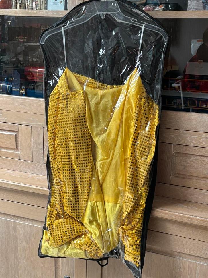 Carnavalskledij, heer & dame, Kleding | Heren, Carnavalskleding en Feestkleding, Zo goed als nieuw, Ophalen