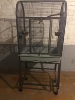 Kooi met voet, Dieren en Toebehoren, Vogels | Hokken en Kooien, Ophalen, Zo goed als nieuw