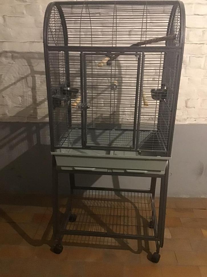 Kooi met voet, Dieren en Toebehoren, Vogels | Hokken en Kooien, Zo goed als nieuw, Ophalen