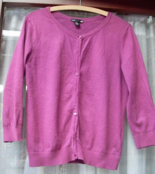 Paarse vestje/jasje/gilet van H&M maat M, Kleding | Dames, Truien en Vesten, Gedragen, Maat 38/40 (M), Paars, Ophalen of Verzenden