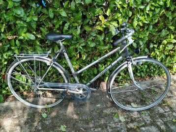 Sportieve fiets kugel beschikbaar voor biedingen