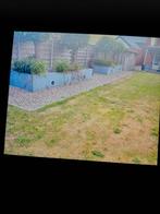 Huisgenote gezocht Arendonk