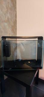 Superfish Home 80 aquarium, Dieren en Toebehoren, Vissen | Aquaria en Toebehoren, Ophalen