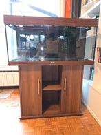 Aquarium juwel rio180 met kast te koop. Moet dringend weg, Animaux & Accessoires, Poissons | Aquariums & Accessoires, Enlèvement