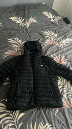 Lacoste Jas, Ophalen of Verzenden, Zo goed als nieuw, Maat 52/54 (L)