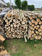 Brandhout hout takken populier 2m lang 5-15 cm dik 2x2m³, Tuin en Terras, Brandhout, Ophalen, Overige houtsoorten, Takken