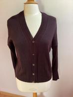 Gilet Passport 38/40, Kleding | Dames, Maat 38/40 (M), Passport, Paars, Ophalen of Verzenden