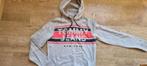 grijze trui met kap van Tommy Hilfiger maat 176 - XS, Enfants & Bébés, Vêtements enfant | Taille 176, Garçon, Enlèvement ou Envoi