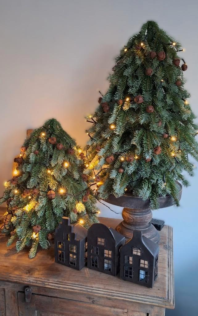 GERESERVEERD Kunst Nobilis kerstboom, Divers, Noël, Enlèvement