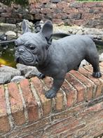 Betonnen Franse Bulldog, Tuin en Terras, Tuinbeelden, Nieuw, Beton, Ophalen, Dierenbeeld