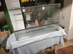 Terrarium glas 80 x 40 x 50, Ophalen, Gebruikt, Terrarium of Paludarium