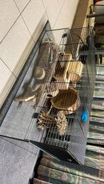 Hamsterkooi, Dieren en Toebehoren, Knaagdieren en Konijnen | Hokken en Kooien, Ophalen