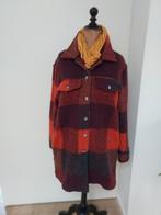 Winterjas geruit, Kleding | Dames, Ophalen of Verzenden