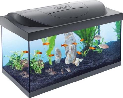 Aquarium Starter Line noir LED 54 litres avec filtre et chau, Animaux & Accessoires, Poissons | Aquariums & Accessoires, Neuf